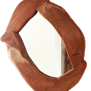 Mesquite Mirror (22x28)