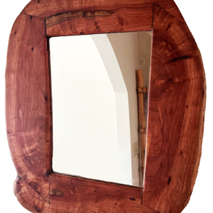 Mesquite Mirror (17x19)